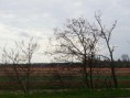 /album/lente-april-2018/dsc02231-jpg/