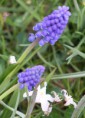 /album/lente-april-2018/img-4501-jpg/