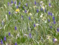 /album/lente-april-2018/img-4505-jpg/