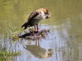 /album/lente-april-2018/img-9088-jpg/