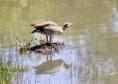 /album/lente-april-2018/img-9091-jpg/
