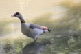 /album/lente-april-2018/img-9098-jpg/