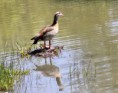 /album/lente-april-2018/img-9102-jpg/