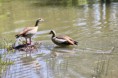 /album/lente-april-2018/img-9105-jpg/
