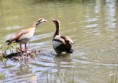 /album/lente-april-2018/img-9106-jpg/